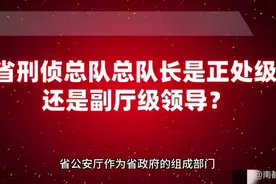 省刑侦总队总队长是正处级还是副厅级领导？视频封面