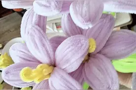 百合花的教程来了。视频封面