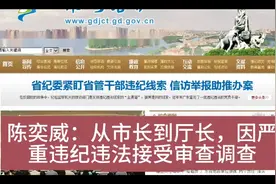 陈奕威：从市长到厅长，因严重违纪违法接受审查调查视频封面