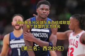 NBA各大分区球队各自组成联盟后的实力排名，第二名：西北分区视频封面