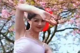 樱花树下优雅舞动，少女如花绽放。恒大歌舞团葛琪琪独舞，美不美视频封面