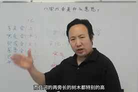 八字六合是什么意思？视频封面
