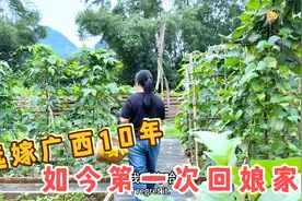 越南姑娘远嫁广西农村10年，如今第一次回娘家，看看老公会同意吗视频封面