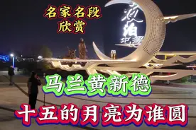 马兰黄新德俩名家倾情演唱黄梅戏经典唱段:十五的月亮为谁圆视频封面