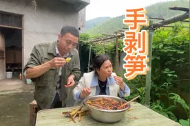 小竹笋拔回来做成手剥笋，做法简单，香辣入味，脆爽多汁，真好吃