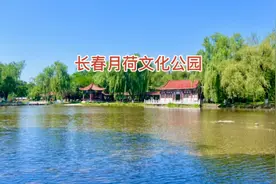 长春月荷文化公园位于伊通河畔，长春大桥与自由大桥之间，扎帐篷视频封面