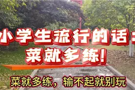 小学生流行的话——菜就多练，输不起就别玩，别拿过去当现在！视频封面