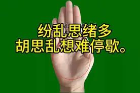 掌纹纷乱思绪多，胡思乱想难停歇。视频封面