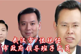 武汉7位市政府领导班子成员，实实在在为人民服务，共建美好武汉视频封面