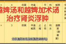 越婢汤和越婢加术汤治疗肾炎浮肿视频封面