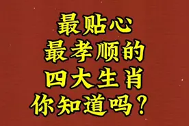 最贴心，最孝顺的四大生肖，你知道了吗？视频封面