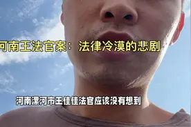 河南王佳佳法官被害:法律冷漠的悲剧视频封面