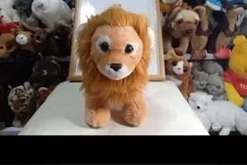 仿真马赛狮毛绒玩具视频封面