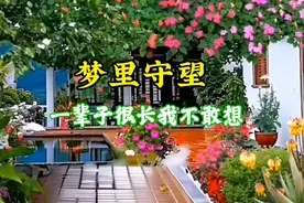 梦里守望。一辈子我很长不敢想，不敢奢望天长地久，风雨路上有…视频封面