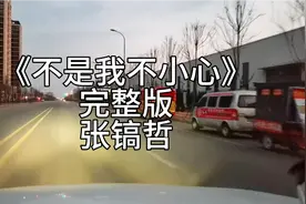 《不是我不小心》完整版张镐哲 从来不敢仔细看你 只怕就此迷失…视频封面