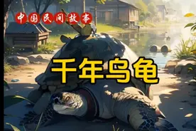 中国民间故事——千年乌龟的故事视频封面