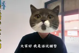 辅警工资普调，辅警真的太不容易了，拿着微薄的收入，家都养不起视频封面