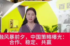 金融风暴前夕，中国策略曝光：合作、稳定、共赢视频封面