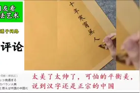 外网评论第二十五集:日本网友看我国书法艺术，全都惊叹不已！视频封面