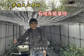 一个真实的励志故事，返乡创业八年，失败过沮丧过，但从未放弃过视频封面