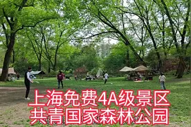 上海免费4A级景区共青国家森林公园有多美?绿树成荫、鲜花成片！视频封面