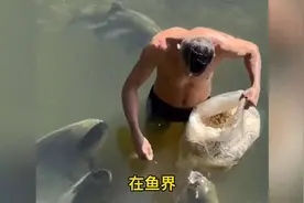 不是很懂钓鱼但常听到空军，应该是个好词吧视频封面