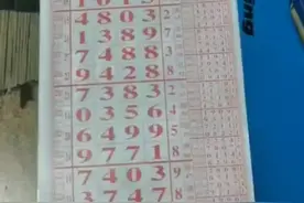 #排列五走势图视频封面