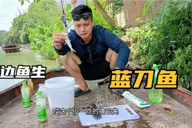 今天带友仔入坑钓鱼，大蓝刀做鱼生真脆口，配牛大力药材酒太爽了