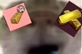鼠鼠表情包视频封面