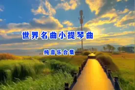 世界名曲小提琴纯音乐合集 旋律优美动人 能够给人带来美的感受…视频封面