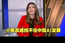 小院高墙挡不住中国AI发展：DeepSeek让美国担忧视频封面