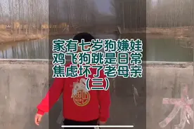 我不求你大富大贵，只愿你衣食无忧。不必为了三文钱而失了骨节视频封面