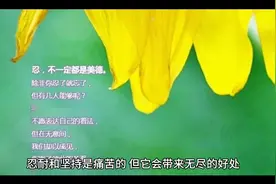 穿过黑暗的夜，才懂黎明的晨！视频封面
