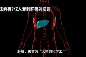 如果没了肝脏，还能坚持多久？肝脏的秘密到底有啥视频封面
