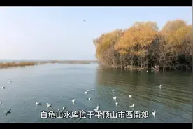 河南平顶山白龟山水库的来由及讲说视频封面