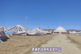 揭秘西藏白色帐篷：为何不能随意进入视频封面