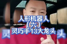 揭秘13大龙头的灵巧手，解锁人形机器人（六）视频封面