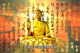 佛曰：彼岸花开，花开彼岸，只一团火红，花开无叶，叶生无花视频封面