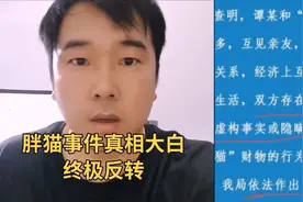 胖猫事件真相大白，终极反转视频封面