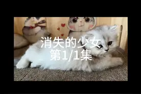 消失的少女第1/3集视频封面