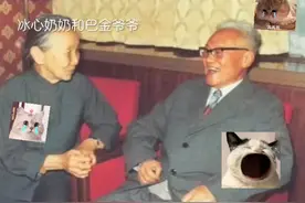 冰心奶奶和巴金爷爷视频封面