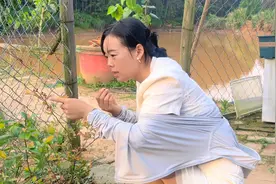 小伙扎根农村养甲鱼，种点蔬菜自给自足，以后不回家住山里了视频封面