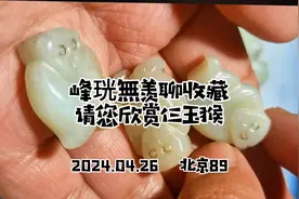 您看猴子多大岁数了视频封面