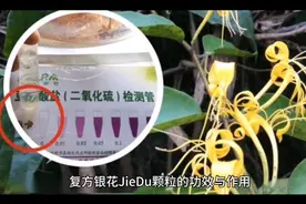 复方银花解毒颗粒的功效与作用视频封面