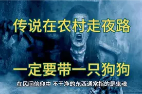 传说在农村走夜路一定要带一只狗他它能看见不干净的东西视频封面