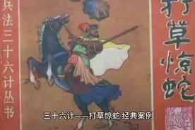 保元集团：三十六计之打扫惊蛇，经典案例视频封面