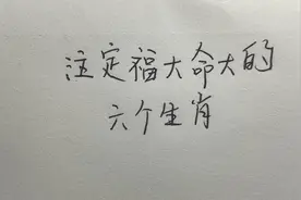 注定福大命大的六个生肖视频封面