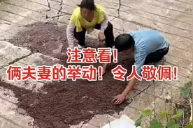 善良夫妻行善积德，填平路面坎坷方便路人视频封面