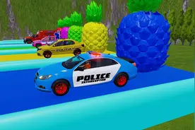 汽车认识 各种类型的警车🚓视频封面