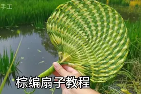棕叶编织扇子教程，用树叶编织一把好看的扇子，太有趣了！视频封面